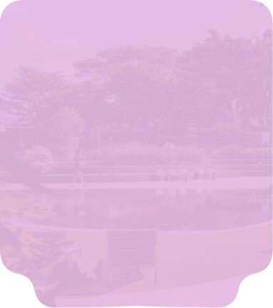 Conheça o serviço - Lazer e cultura Conheça o serviço - Lazer e cultura