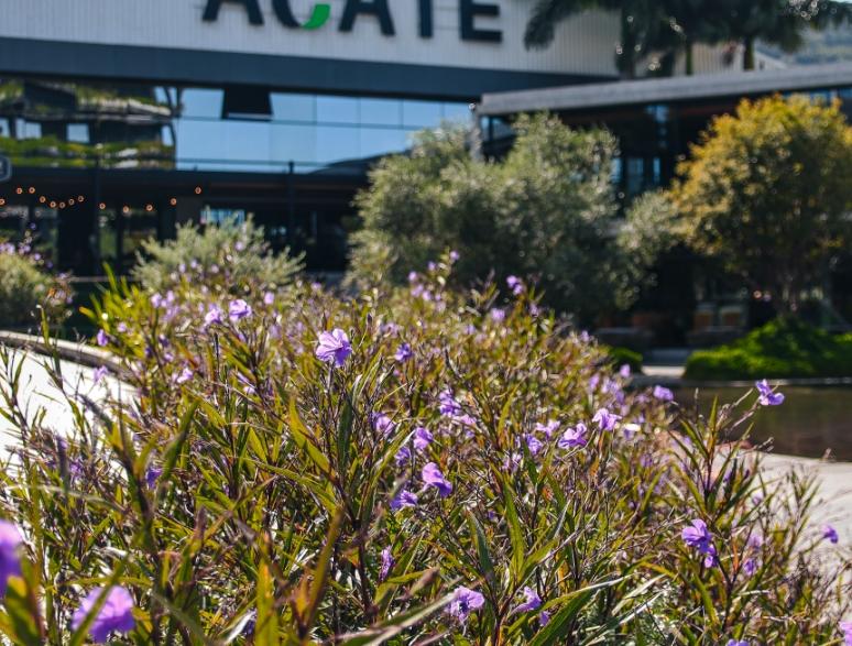 Confira tudo sobre o universo do passeio Confira tudo sobre o universo do passeio