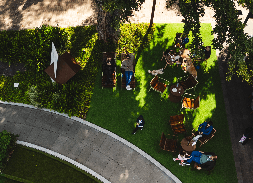 Agenda Cultural de Novembro